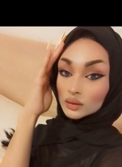 محتشمة - Agencia de acompañantes transexuales in Beirut Photo 8 of 9