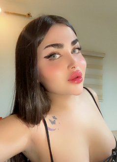 ليان شيميل - Transsexual escort in Beirut Photo 11 of 17