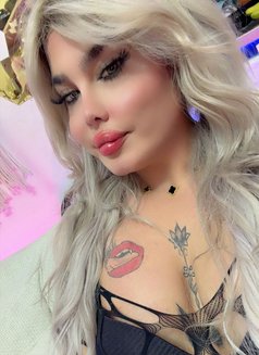 بيسو اللبناني - Acompañantes transexual in Beirut Photo 7 of 7