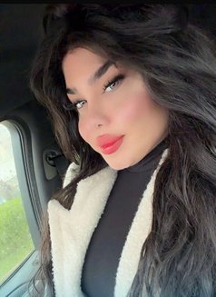 بيسو اللبناني - Transsexual escort in Beirut Photo 10 of 11