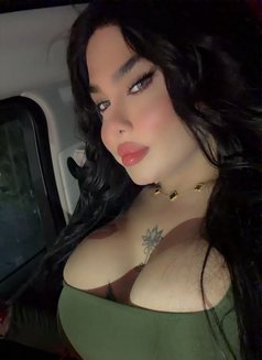 بيسو اللبناني - Transsexual escort in Beirut Photo 12 of 12