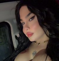 بيسو اللبناني - Transsexual escort in Beirut Photo 12 of 14