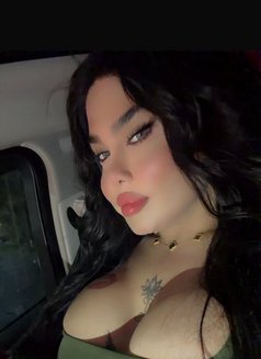 بيسو اللبناني - Transsexual escort in Beirut Photo 13 of 14