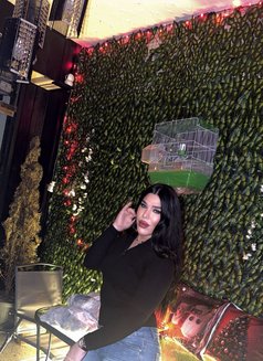 جونيلا - Transsexual escort in Beirut Photo 11 of 12