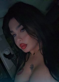 نرجس اللبنانيه - Transsexual escort in Beirut Photo 6 of 9