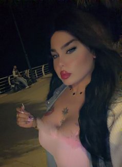 نرجس اللبنانيه - Transsexual escort in Beirut Photo 7 of 9
