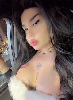 نرجس اللبنانيه - Transsexual escort in Beirut Photo 8 of 9