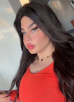 نرجس اللبنانيه - Transsexual escort in Beirut Photo 9 of 9