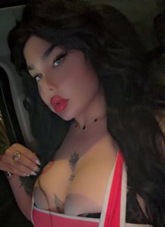 نرجس اللبنانيه - Transsexual escort in Beirut Photo 3 of 4