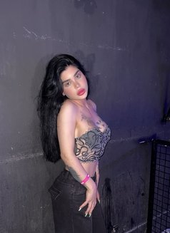 شمس - Transsexual escort in Beirut Photo 14 of 15
