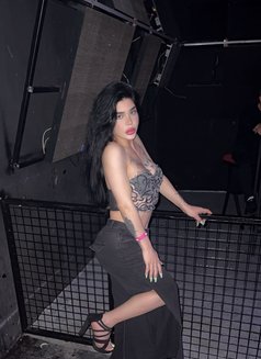 شمس - Transsexual escort in Beirut Photo 15 of 15