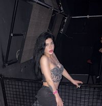 شمس - Transsexual escort in Beirut