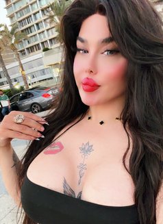 نرجس اللبنانيه - Acompañantes transexual in Beirut Photo 5 of 6