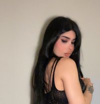شمس - Transsexual escort in Beirut Photo 11 of 12