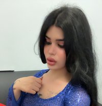 Shams - Transsexual escort in Beirut