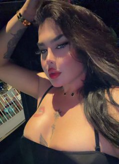 نرجس اللبنانيه - Transsexual escort in Beirut Photo 10 of 11