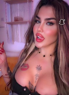 نرجس اللبنانيه - Transsexual escort in Beirut Photo 6 of 7