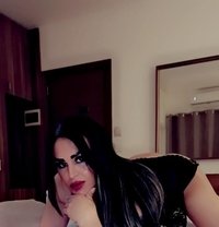 نور - Transsexual escort in Beirut