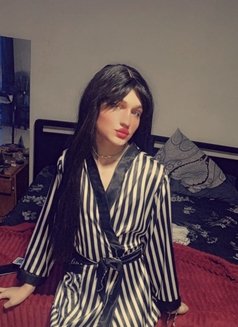 سالي - Transsexual escort in Beirut Photo 1 of 15