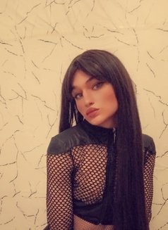 سالي - Transsexual escort in Beirut Photo 4 of 15