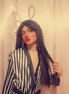 سالي - Transsexual escort in Beirut Photo 6 of 15