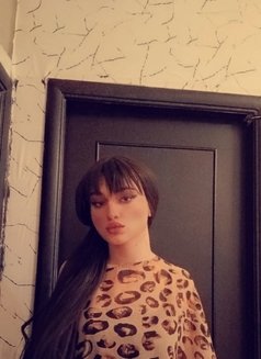 سالي - Transsexual escort in Beirut Photo 8 of 15