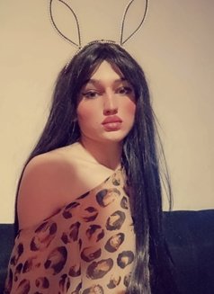 سالي - Acompañantes transexual in Beirut Photo 11 of 15