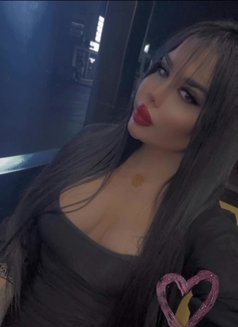 بيسو اللبناني - Transsexual escort in Erbil Photo 7 of 11