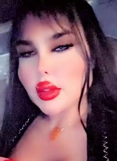 بيسو اللبناني - Transsexual escort in Erbil Photo 8 of 11