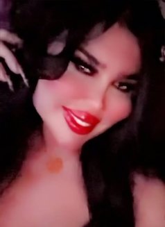 بيسو اللبناني - Transsexual escort in Erbil Photo 9 of 11