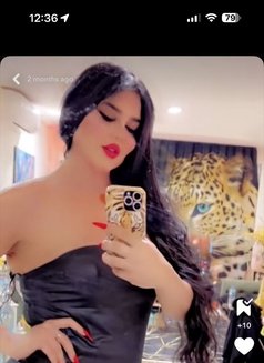 بيسو اللبناني - Transsexual escort in Erbil Photo 10 of 11