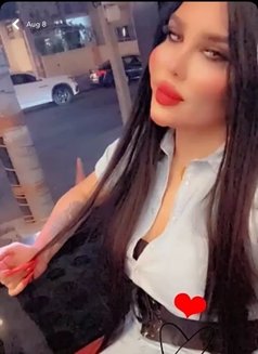 بيسو اللبناني - Transsexual escort in Erbil Photo 11 of 11