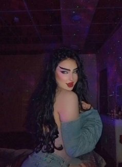 عسل اربيل - Transsexual escort in Erbil Photo 1 of 1