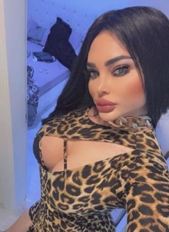 سرين لبنان ملكه في اربيل 🇱🇧🇱🇧🇱🇧❤ - Acompañantes transexual in Erbil Photo 27 of 29