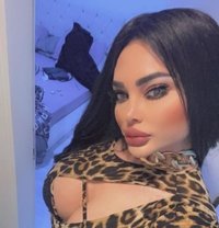 سرين لبنان ملكه في اربيل 🇱🇧🇱🇧🇱🇧❤ - Transsexual escort in Erbil Photo 27 of 29