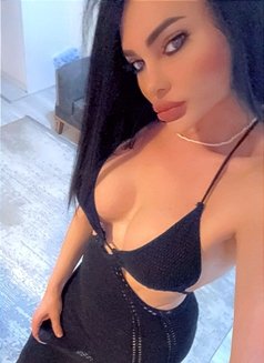 سرين لبنان ملكه في اربيل 🇱🇧🇱🇧🇱🇧❤ - Transsexual escort in Erbil Photo 27 of 28