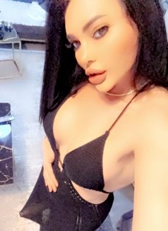 سرين لبنان ملكه في اربيل 🇱🇧🇱🇧🇱🇧❤ - Transsexual escort in Erbil Photo 28 of 28