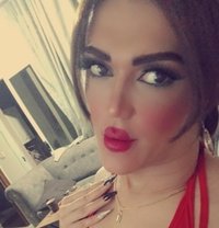 ديفا جيهان - Transsexual escort in Erbil