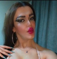 ديفا جيجي - Transsexual escort in Damascus