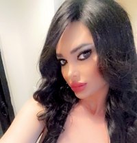 سرين لبنان ملكه في اربيل 🇱🇧🇱🇧🇱🇧❤ - Acompañantes transexual in Erbil