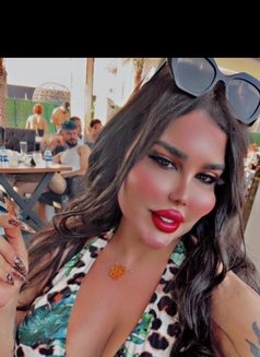 بيسو اللبناني - Acompañantes transexual in Erbil Photo 8 of 8