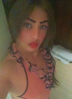 برهوم - Transsexual escort in Riyadh Photo 8 of 8