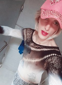 زين بنوتي - Male escort in Cairo Photo 1 of 10