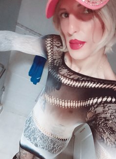 زين بنوتي - Male escort in Cairo Photo 3 of 10