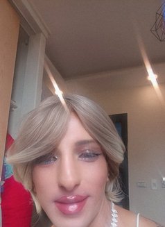 زين لبناني - Male escort in Cairo Photo 13 of 14