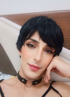 زين لبناني - Male escort in Cairo Photo 11 of 13
