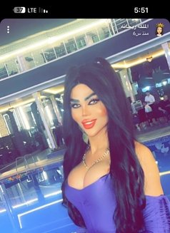 الملكه ريحانه شيميل - Male escort in Erbil Photo 5 of 6