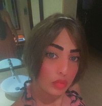 علاوي - Male escort in Erbil