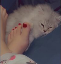 العمة🥰🇲🇦🇲🇦 - escort in Jeddah