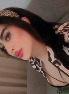 شيميل مربربه - Transsexual dominatrix in Al Manama Photo 7 of 12